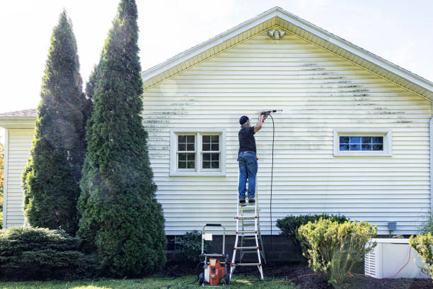 Best Fence Cleaning  in Herscher, IL